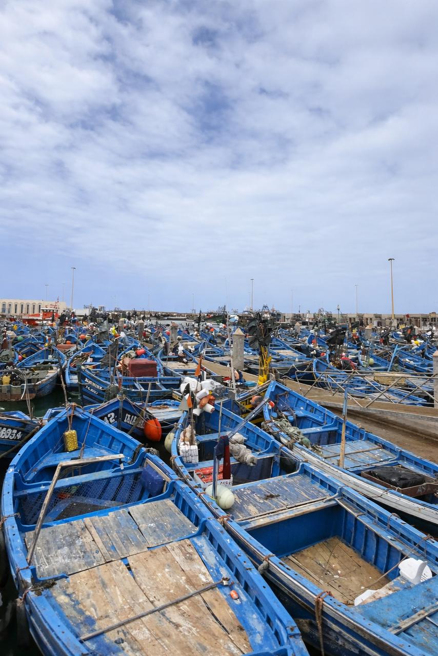 Essaouira — Atlantic day trip